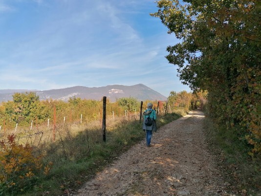 Monte Solane e Monto Pastello 