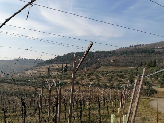 Panorami Vigneti