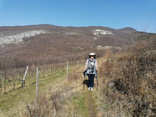 in direzione Vecchia Chiesa di Cavalo alle spalle il Monte Pastello