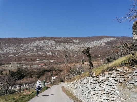 discesa a Monte