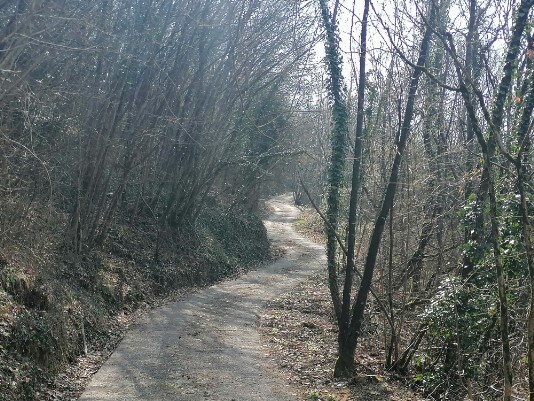 stradina sterrata e cementata che sale a Panego