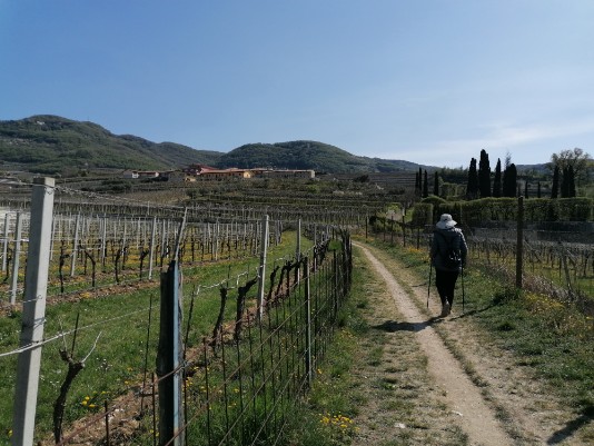 sentierino in uscita da Arena Verde Via Pertini