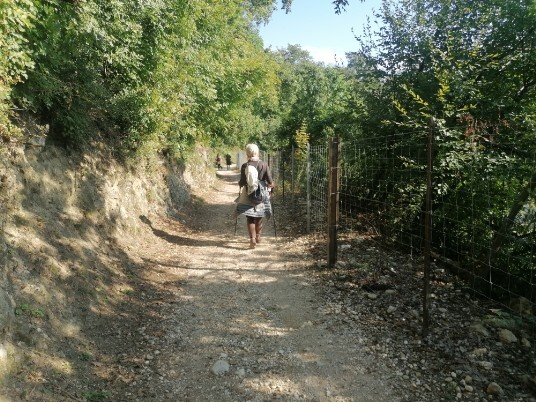 sentiero stradina che scende su Bardolino