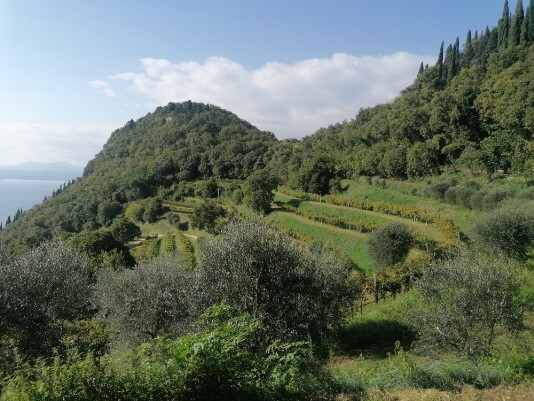 pendici de la Rocca visti da sud