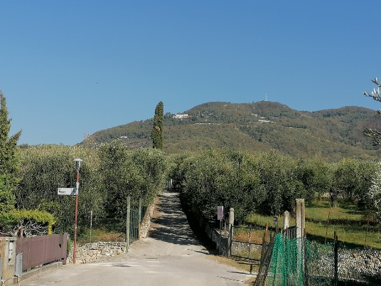 da Via Rovereti  proseguiamo sempre dritti per Castel