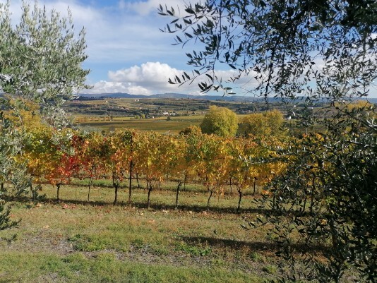 panorama su valle di Fumane da Via Bure Alto