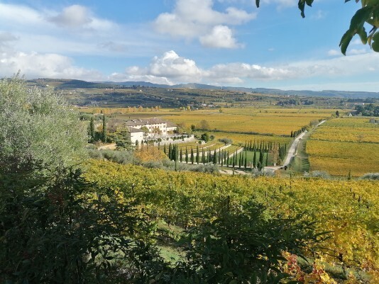 Tenute Ugolini Vista da Via Bure Alto-Marega