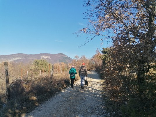 panorami dalla dorsale Monte Solane sfondo Monte Pastello