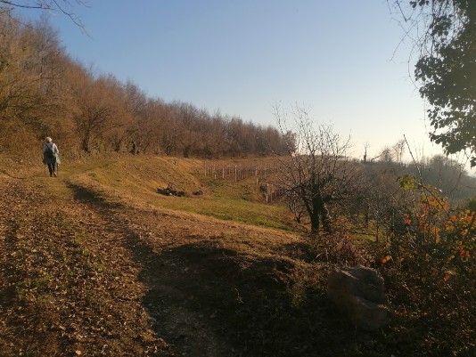 un piacevole sentiero Muretti e alberi