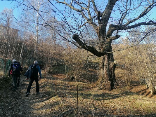 in salita verso Pozze