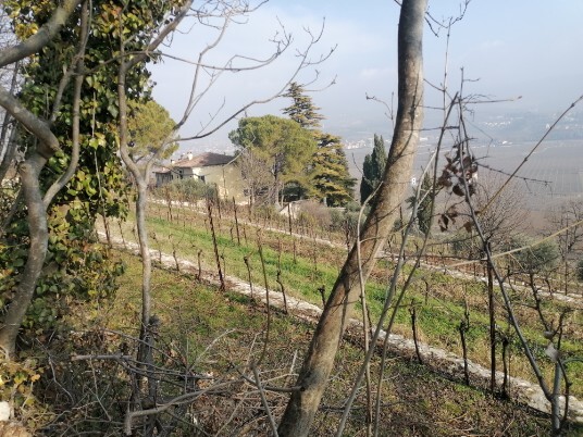 in discesa per Pedemonte la finestra sulla Valpolicella