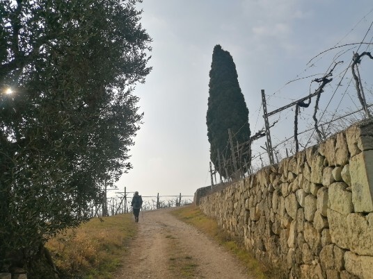 da Crosara in direzione Villa Spinosa