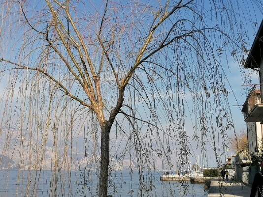 suggestiva immagine Castelletto di Brenzone