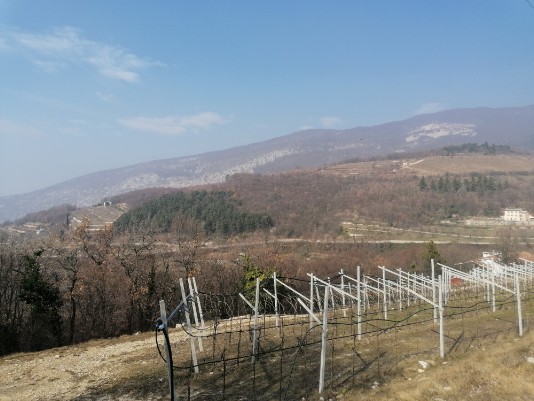 il Pastello visto da Monte Solane