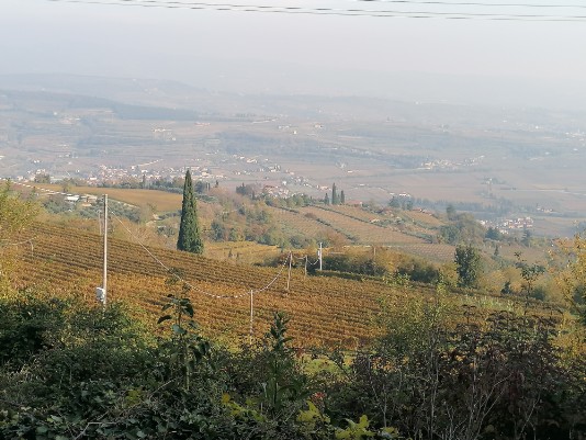 Panorami da Cavarena